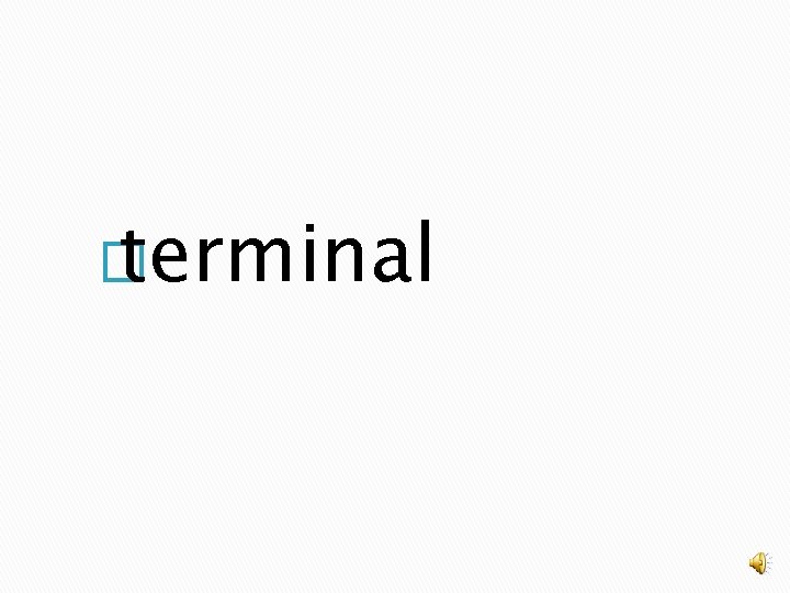 � terminal 