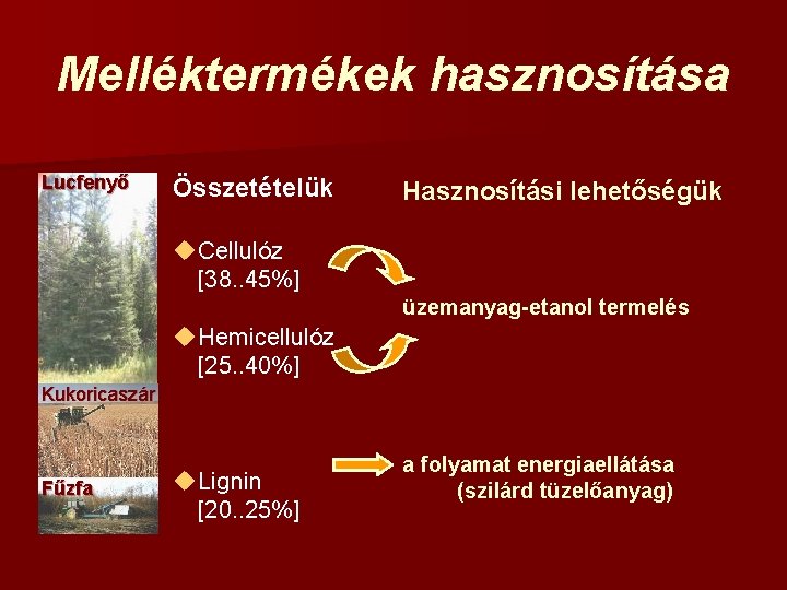 Melléktermékek hasznosítása Lucfenyő Összetételük Hasznosítási lehetőségük u Cellulóz [38. . 45%] üzemanyag-etanol termelés u