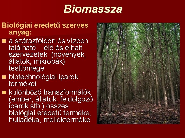 Biomassza Biológiai eredetű szerves anyag: n a szárazföldön és vízben található élő és elhalt