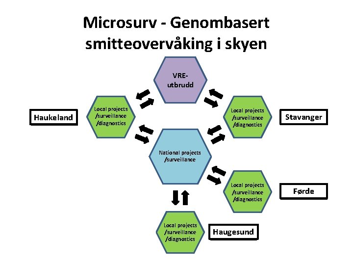 Microsurv - Genombasert smitteovervåking i skyen Regional projects VRE/surveillance utbrudd /diagnostics Haukeland Hospital A
