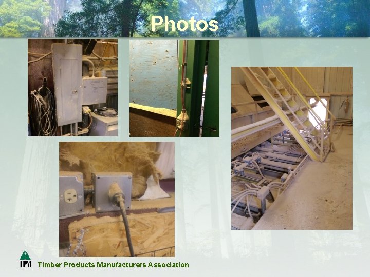 Photos Timber Products Manufacturers Association 