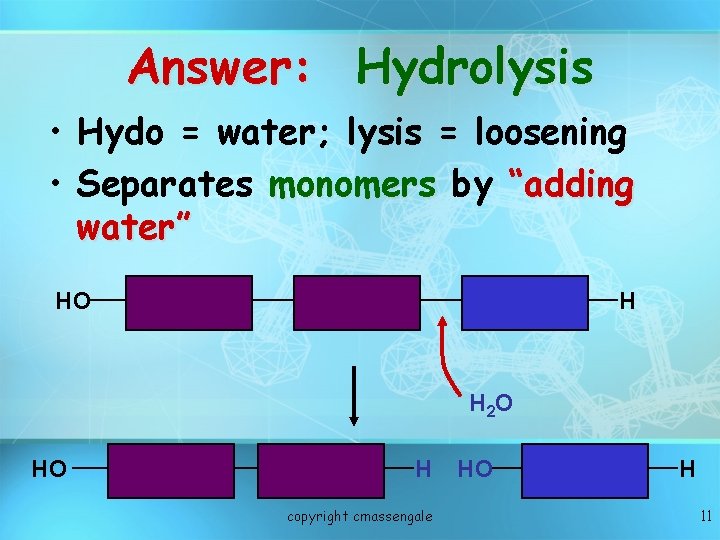Answer: Hydrolysis • Hydo = water; lysis = loosening • Separates monomers by “adding Answer: Hydrolysis • Hydo = water; lysis = loosening • Separates monomers by “adding