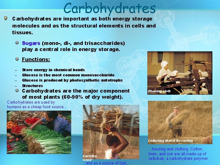Carbohydrates are important as both energy storage molecules and as the structural elements in Carbohydrates are important as both energy storage molecules and as the structural elements in