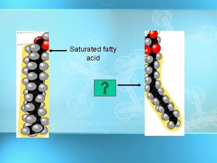 Saturated fatty acid Saturated fatty acid