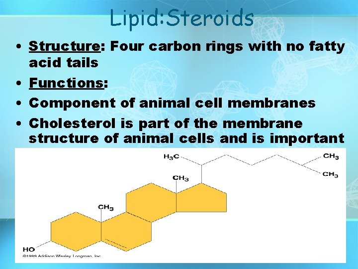 Lipid: Steroids • Structure: Four carbon rings with no fatty acid tails • Functions: Lipid: Steroids • Structure: Four carbon rings with no fatty acid tails • Functions: