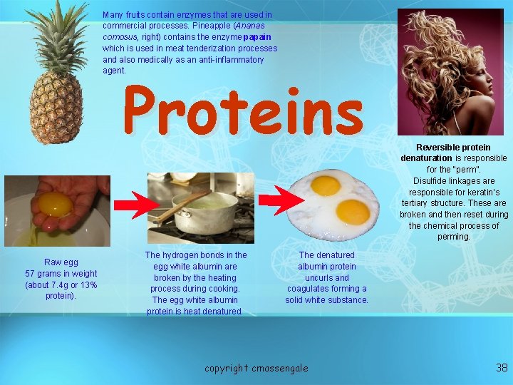 Many fruits contain enzymes that are used in commercial processes. Pineapple (Ananas comosus, right) Many fruits contain enzymes that are used in commercial processes. Pineapple (Ananas comosus, right)
