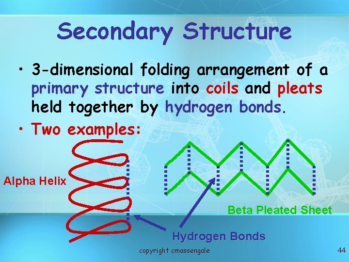 Secondary Structure • 3 -dimensional folding arrangement of a primary structure into coils and Secondary Structure • 3 -dimensional folding arrangement of a primary structure into coils and