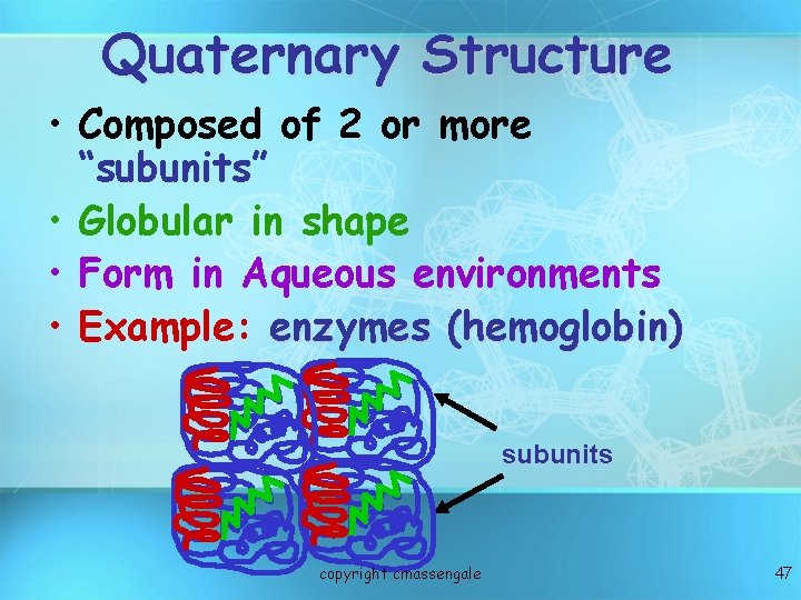 Quaternary Structure • Composed of 2 or more “subunits” • Globular in shape • Quaternary Structure • Composed of 2 or more “subunits” • Globular in shape •