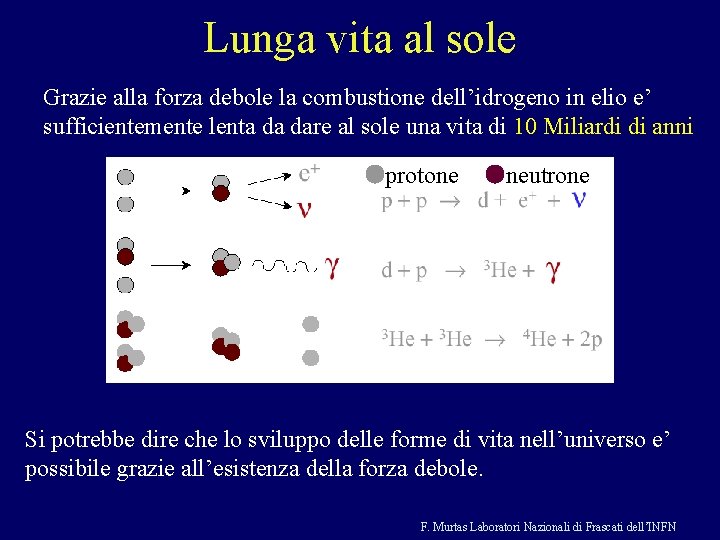 Lunga vita al sole Grazie alla forza debole la combustione dell’idrogeno in elio e’