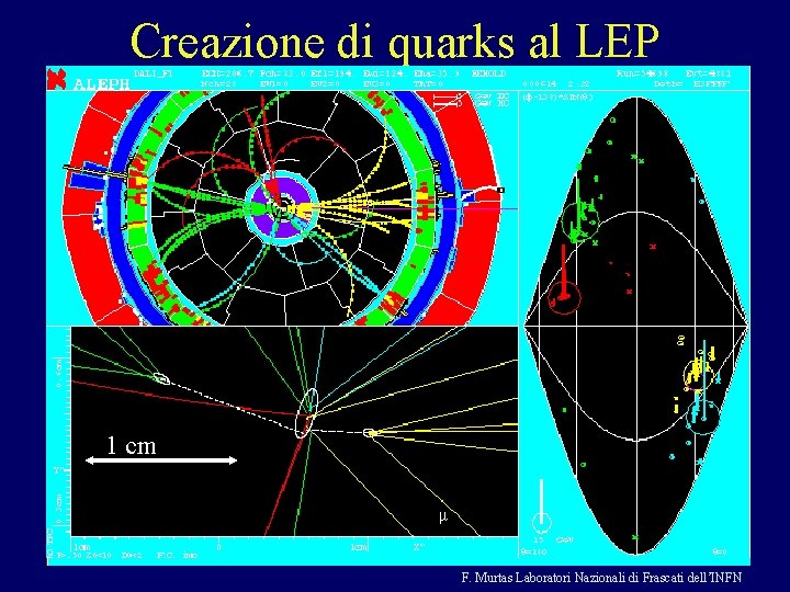 Creazione di quarks al LEP ee+ +ee- - qqqqg 1 cm F. Murtas Laboratori