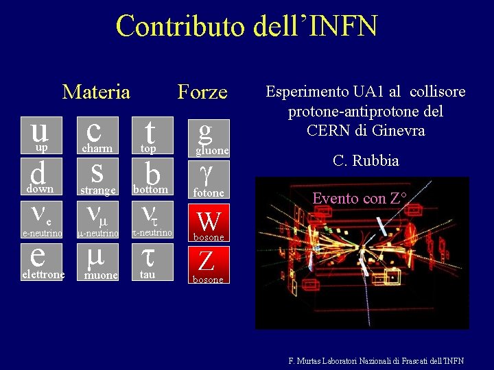 Contributo dell’INFN Materia u up c s Forze t g gluone g charm top