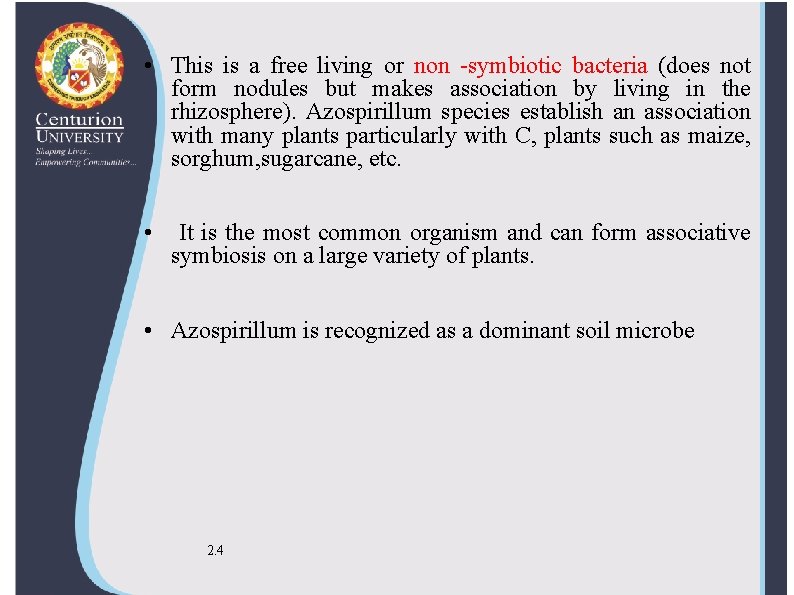  • This is a free living or non -symbiotic bacteria (does not form