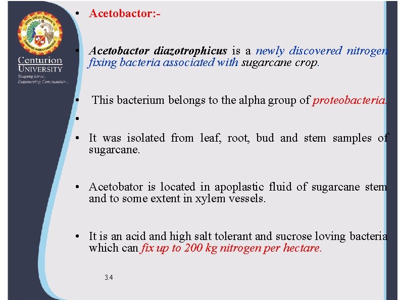 • Acetobactor: • Acetobactor diazotrophicus is a newly discovered nitrogen fixing bacteria associated