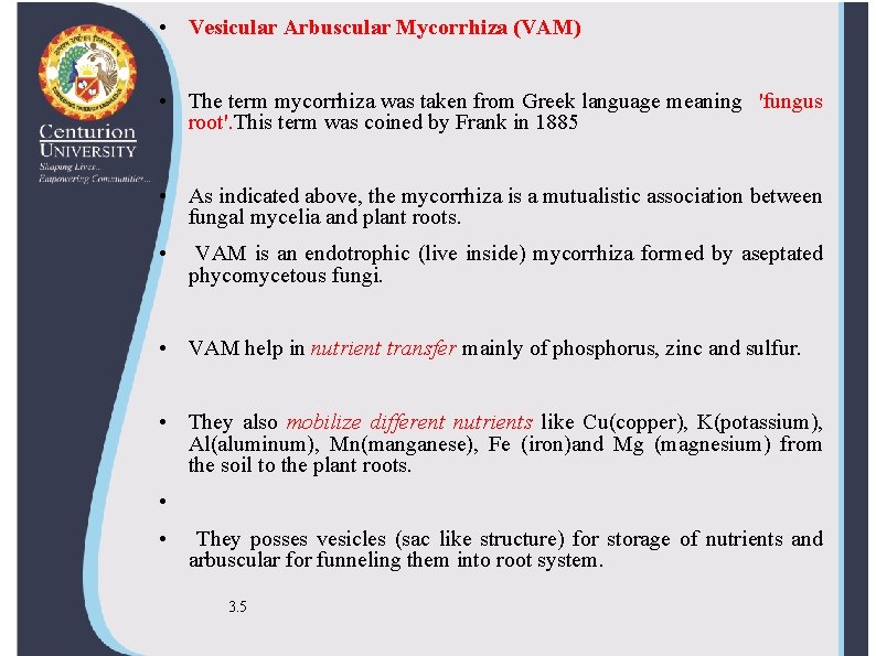  • Vesicular Arbuscular Mycorrhiza (VAM) • The term mycorrhiza was taken from Greek