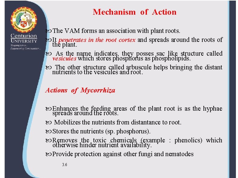 Mechanism of Action The VAM forms an association with plant roots. It penetrates in