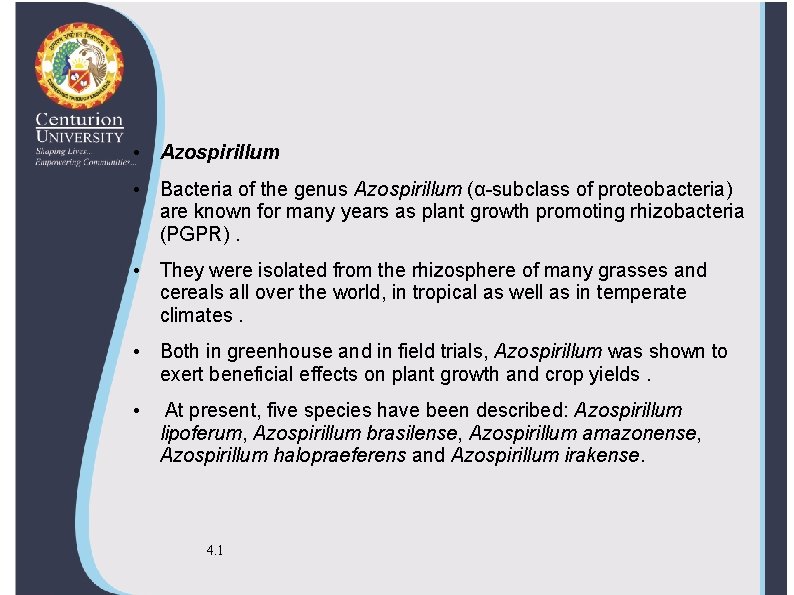  • Azospirillum • Bacteria of the genus Azospirillum (α-subclass of proteobacteria) are known