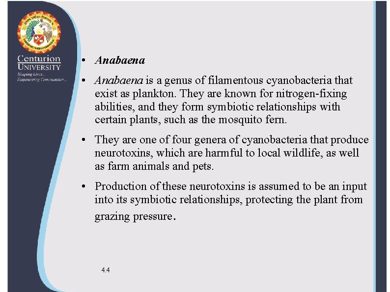  • Anabaena is a genus of filamentous cyanobacteria that exist as plankton. They