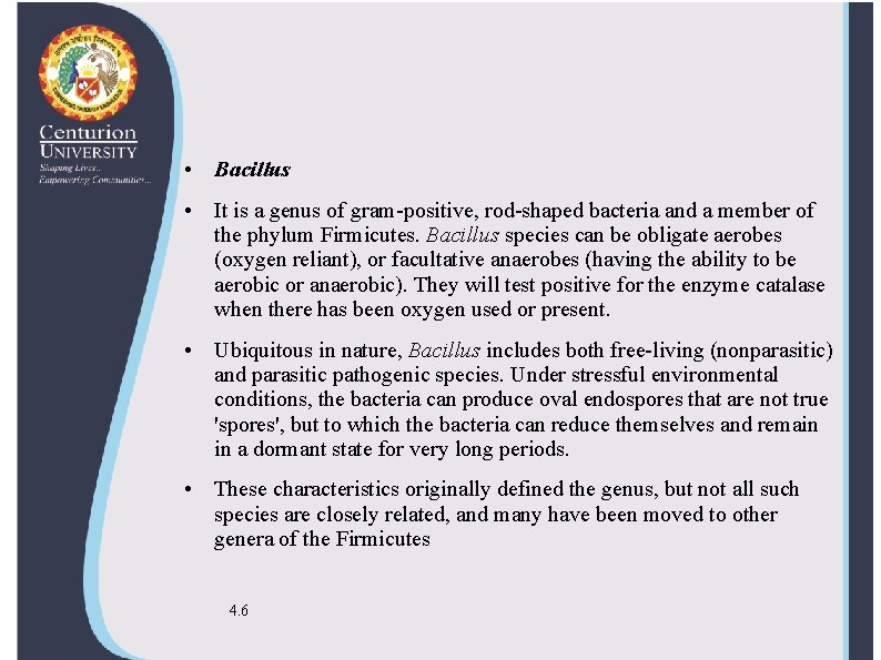  • Bacillus • It is a genus of gram-positive, rod-shaped bacteria and a