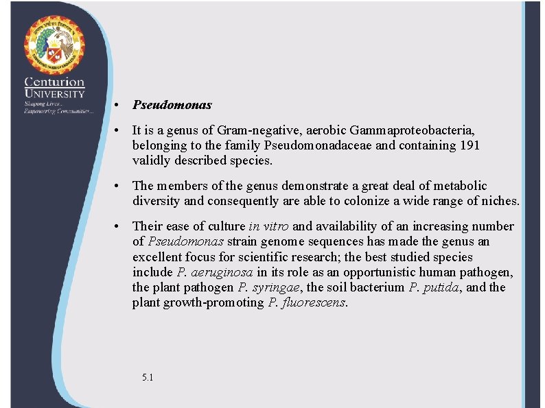  • Pseudomonas • It is a genus of Gram-negative, aerobic Gammaproteobacteria, belonging to
