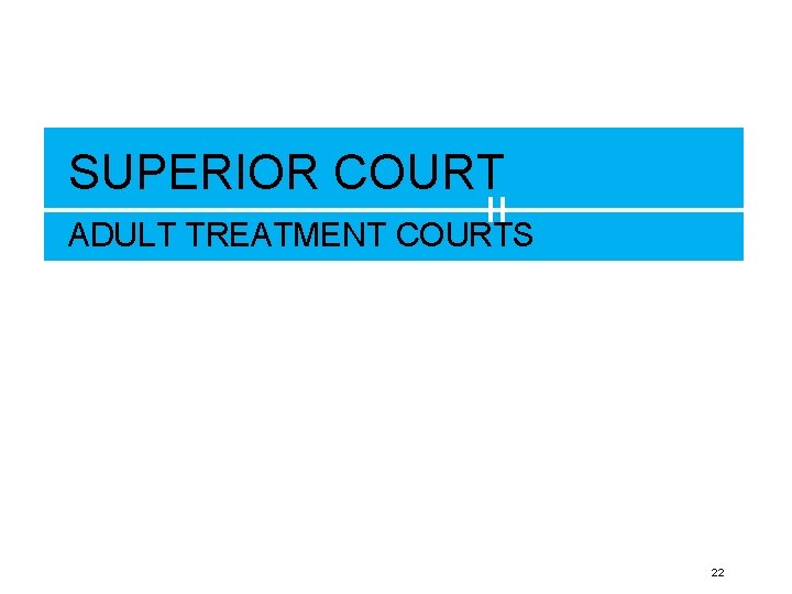 SUPERIOR COURT ADULT TREATMENT COURTS 22 