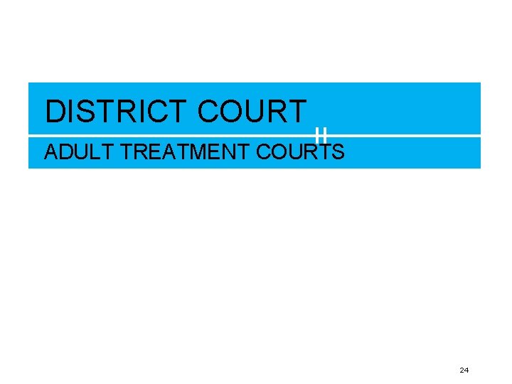 DISTRICT COURT ADULT TREATMENT COURTS 24 