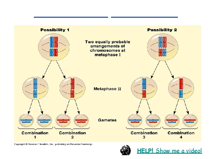 _____ HELP! Show me a video! 