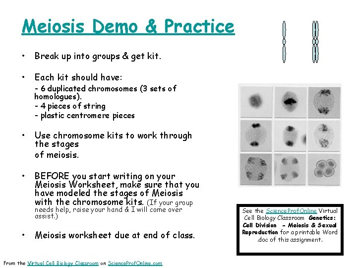 Meiosis Demo & Practice • Break up into groups & get kit. • Each