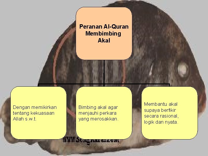 Peranan Al-Quran Membimbing Akal Dengan memikirkan tentang kekuasaan Allah s. w. t. Bimbing akal