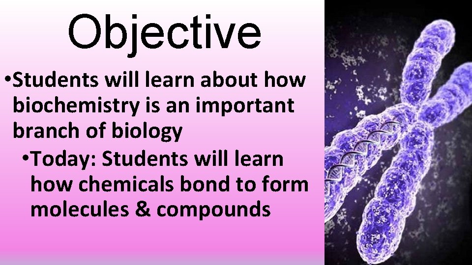 Objective • Students will learn about how biochemistry is an important branch of biology