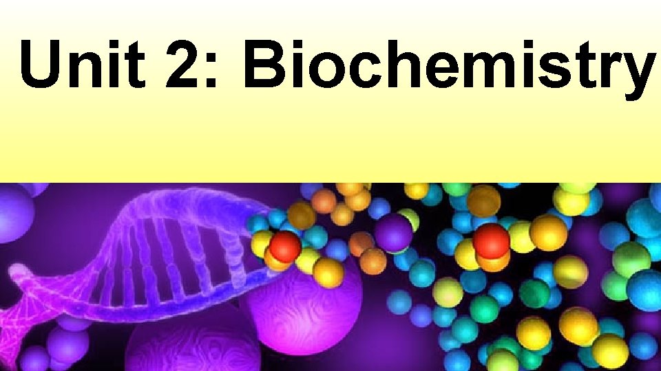 Unit 2: Biochemistry 