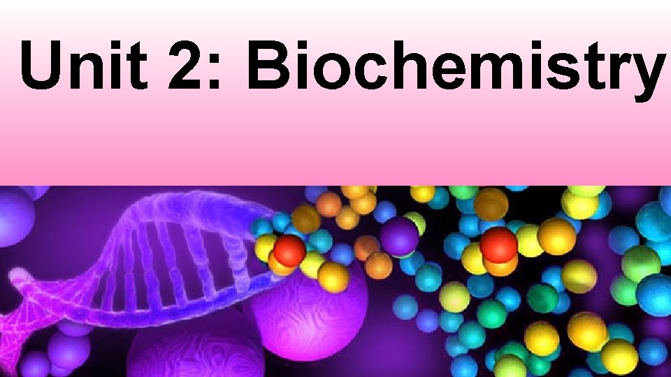 Unit 2: Biochemistry 