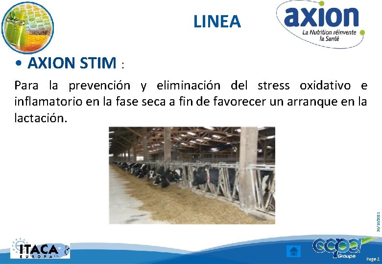 LINEA • AXION STIM : 30/10/2021 Para la prevención y eliminación del stress oxidativo