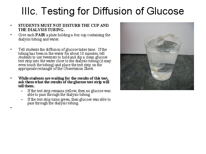 IIIc. Testing for Diffusion of Glucose • • STUDENTS MUST NOT DISTURB THE CUP