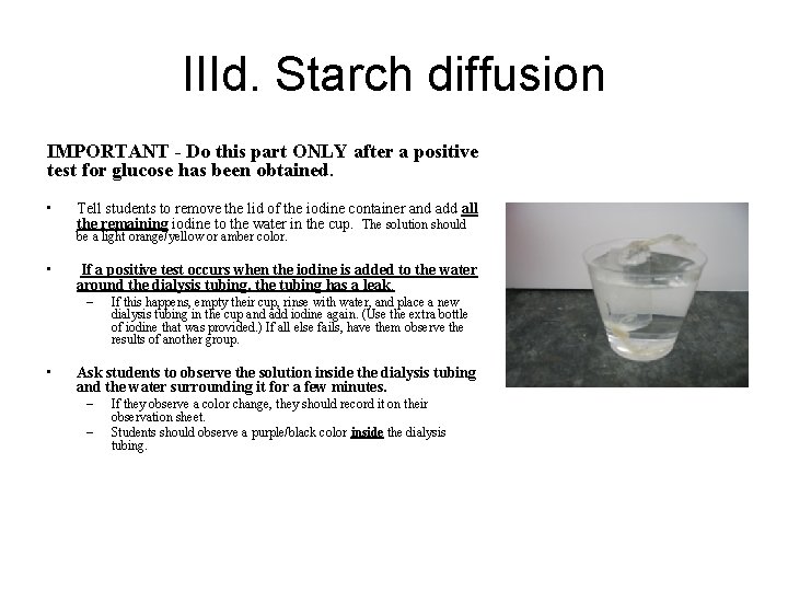 IIId. Starch diffusion IMPORTANT - Do this part ONLY after a positive test for