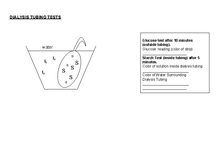 DIALYSIS TUBING TESTS water I 2 G S S S Glucose test after 10