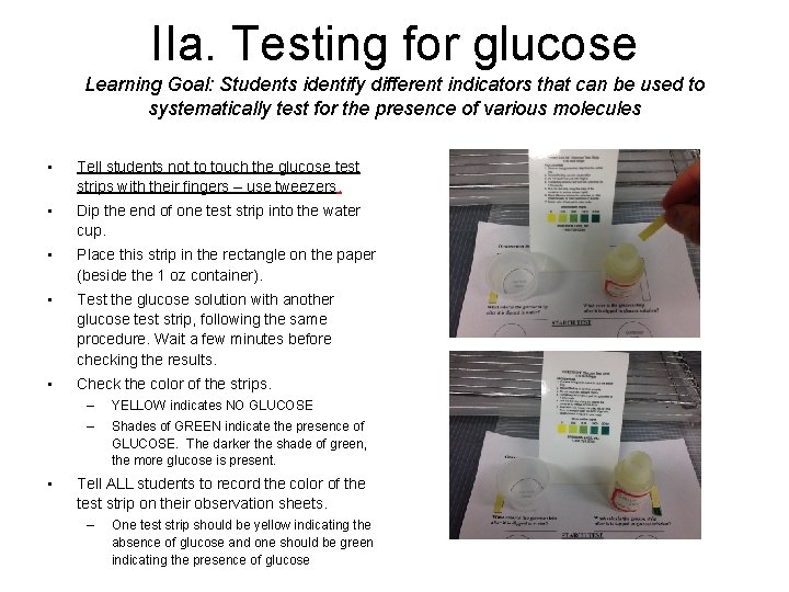 IIa. Testing for glucose Learning Goal: Students identify different indicators that can be used