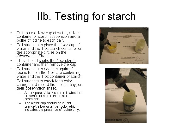 IIb. Testing for starch • • • Distribute a 1 -oz cup of water,
