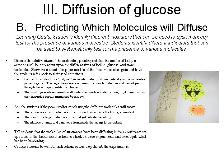 III. Diffusion of glucose B. Predicting Which Molecules will Diffuse Learning Goals: Students identify