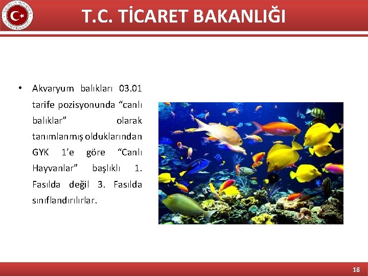 T. C. TİCARET BAKANLIĞI • Akvaryum balıkları 03. 01 tarife pozisyonunda “canlı balıklar” olarak