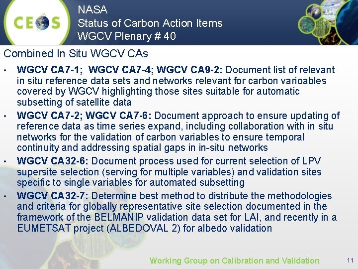 NASA Status of Carbon Action Items WGCV Plenary # 40 Combined In Situ WGCV