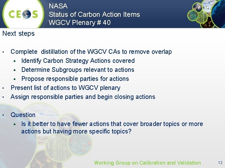 NASA Status of Carbon Action Items WGCV Plenary # 40 Next steps • •