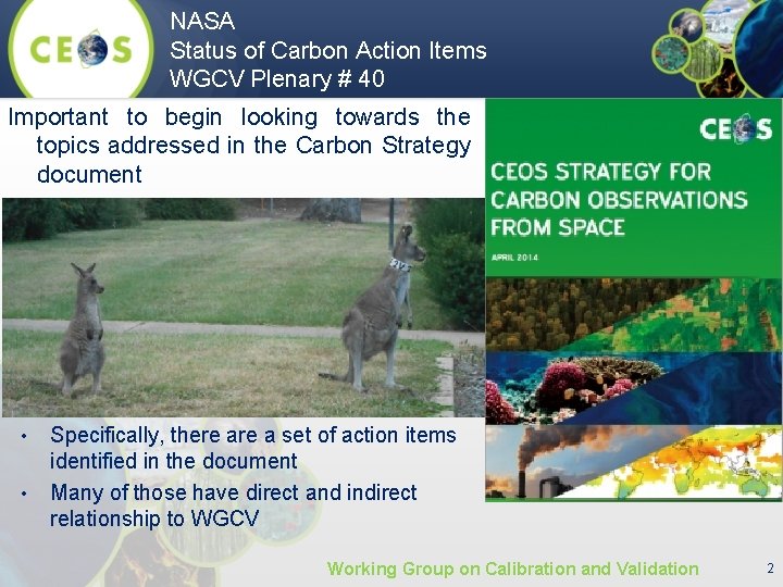 NASA Status of Carbon Action Items WGCV Plenary # 40 Important to begin looking