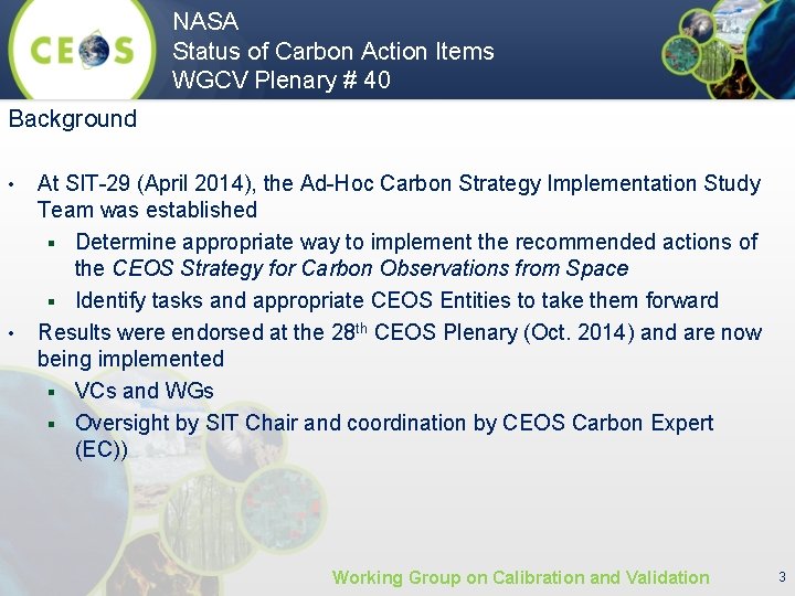 NASA Status of Carbon Action Items WGCV Plenary # 40 Background • • At