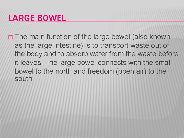 LARGE BOWEL � The main function of the large bowel (also known as the