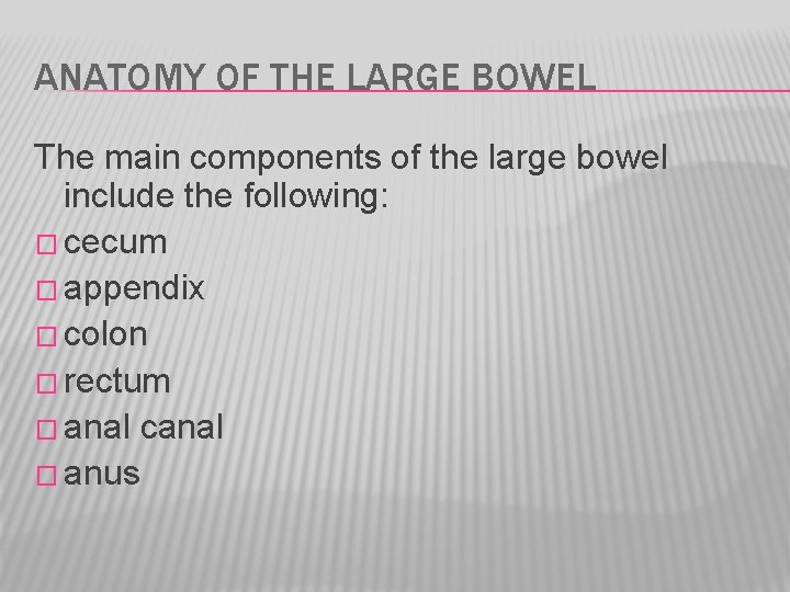 ANATOMY OF THE LARGE BOWEL The main components of the large bowel include the