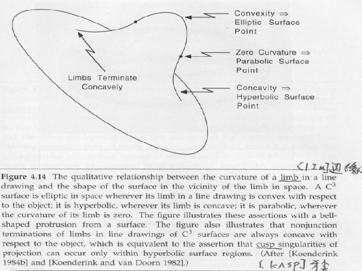 11. 5. 7 Curvature l Nalwa, A Guided Tour of Computer Vision, Fig. 4.