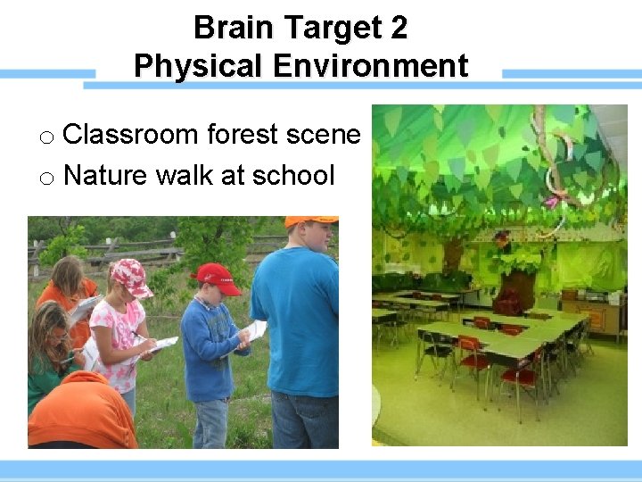 Brain Target 2 Physical Environment o Classroom forest scene o Nature walk at school