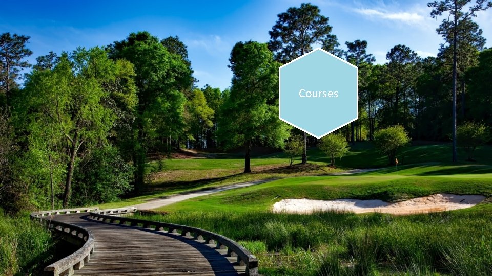 Courses 