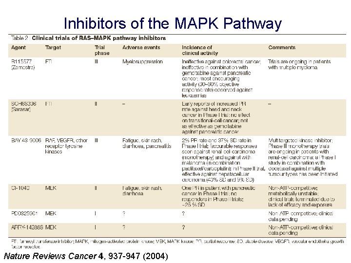 Inhibitors of the MAPK Pathway Nature Reviews Cancer 4, 937 -947 (2004) 