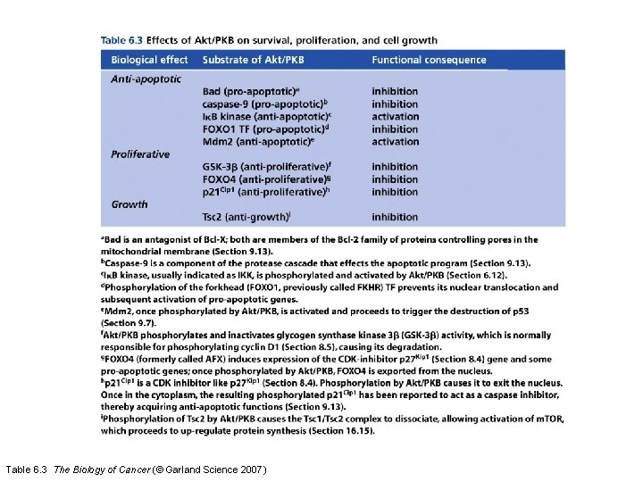 Table 6. 3 The Biology of Cancer (© Garland Science 2007) 